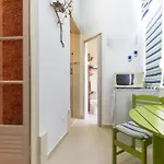 Red Almirante By Homing *