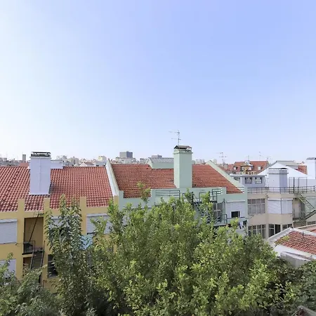 Red Almirante By Homing *